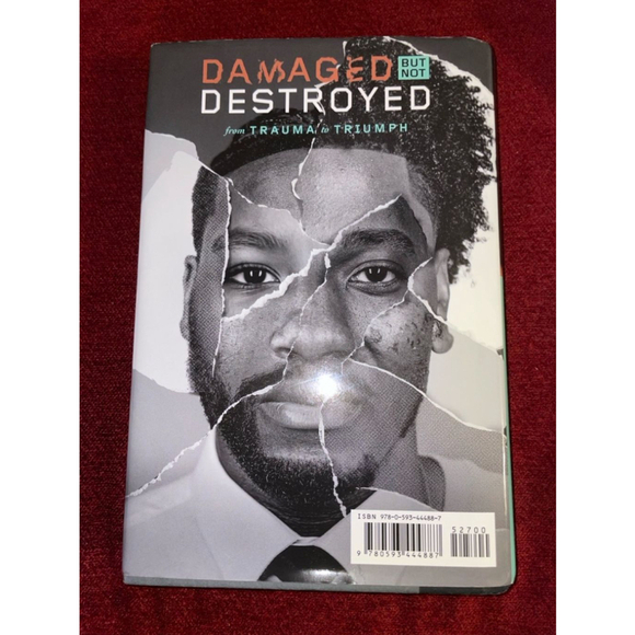 Damaged But Not Destroyed: From Trauma to Triumph - Picture 2 of 4